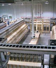 AUTOMATED SORTERS